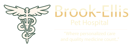 Brook-Ellis Pet Hospital logo