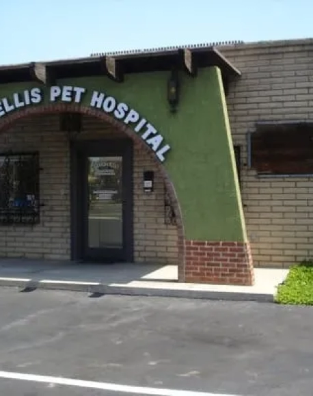 Brook-Ellis Pet Hospital